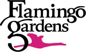 Flamingo Gardens
