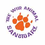 The Wild Animal Sanctuary
