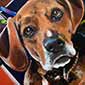 Dog Park Painting