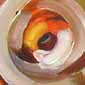 Hello(Oils)
