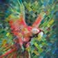 Scarlet Macaw Painting